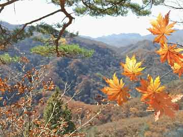 铁岭新闻最新消息，城市发展的脉搏与民生改善的步伐