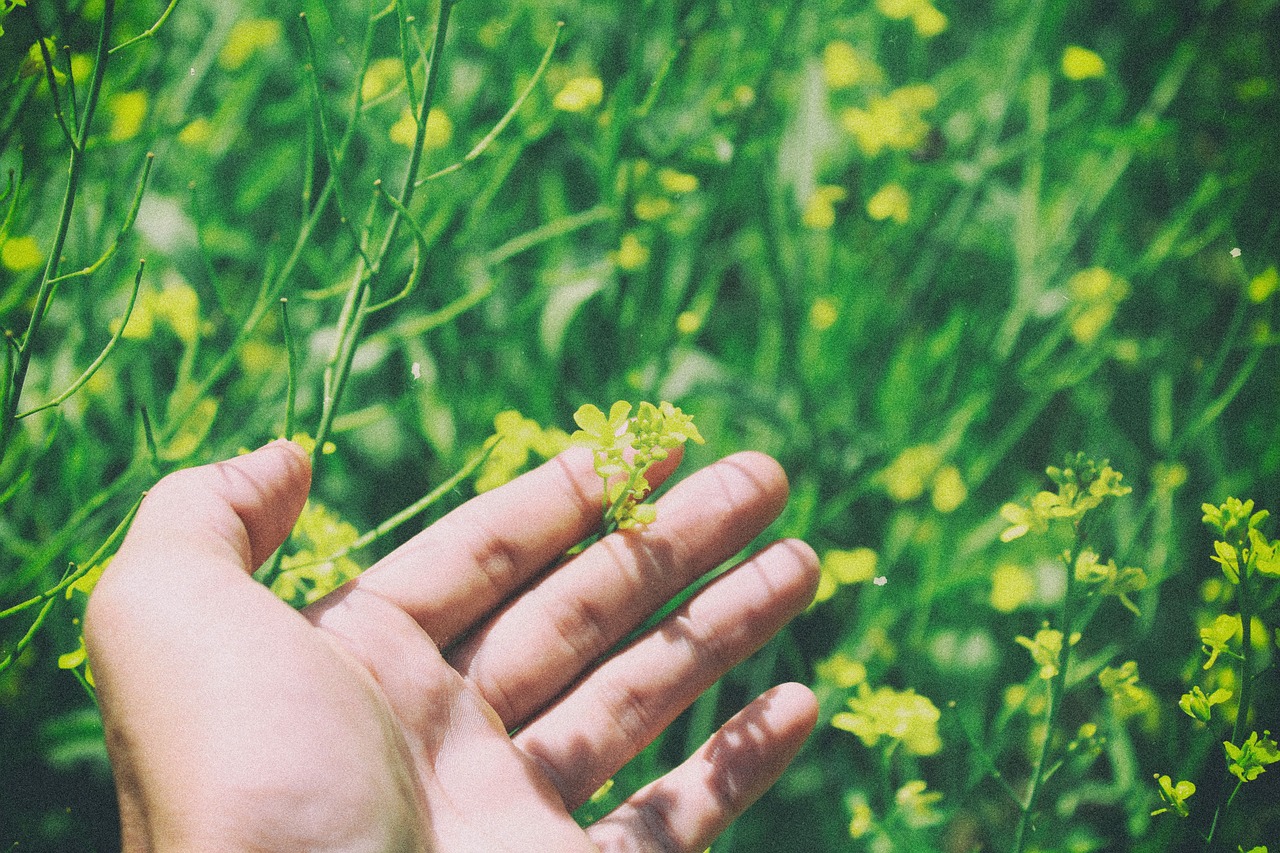 最新正的爱情，探索真挚情感的深层内涵