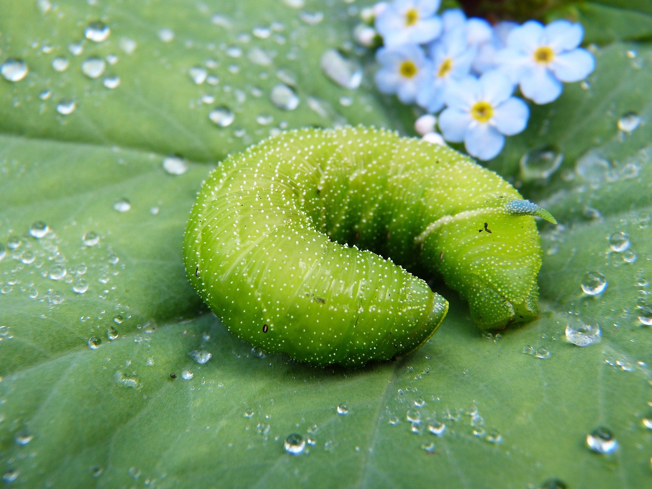 广东领姿生物有限公司，引领生物科技，塑造美好未来